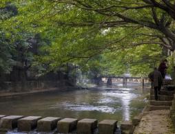 2026重庆清明周边自驾一日游攻略（地点+路线）