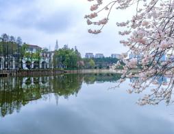 湖南省植物园游玩攻略(玩什么+门票预约+最新花展)
