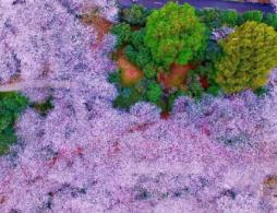 湖南省植物园门票多少钱(最新)