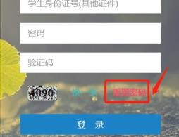 无锡幼升小信息采集平台（附网址）