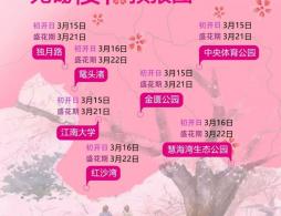 2026无锡鼋头渚樱花开了吗？
