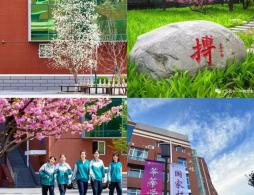 北京昌平区2026年1+3培养实验工作安排