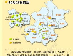 2026北京菊花展在哪里举办?时间地点汇总