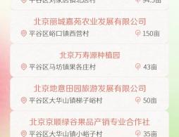 北京各区桃园采摘时间及地址攻略