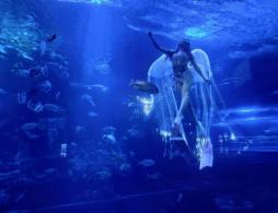 2026北京太平洋海底世界暑期晚场特惠票及购票入口