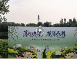 2026龙潭西湖公园第四届荷花文化节活动时间地点及门票