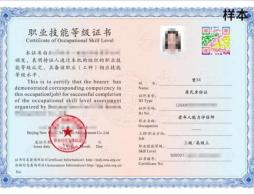 2026广州老年人能力评估师证书报考攻略：工作内容、2000元补贴与职业前景深度解读