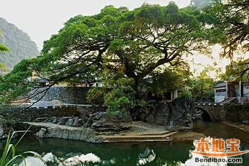 梧州周边游玩攻略,梧州周边游玩攻略一日游