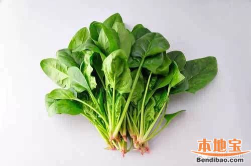 春季的菠菜比较嫩小,不似秋季那般粗大,因此适合凉拌.