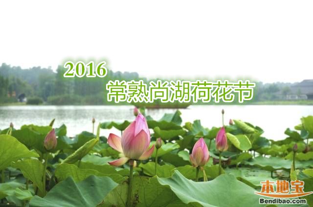 2016常熟尚湖荷花节（时间+赏荷攻略）