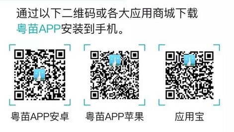 粤苗app怎么注册？