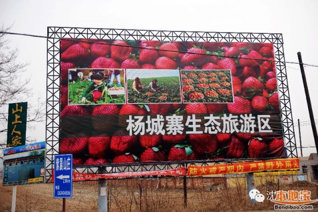 杨城寨生态旅游区摘草莓、油桃指南 给你一