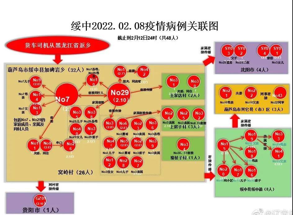 基本摸清传播链条,梳理形成了绥中02·08疫情病例关联图