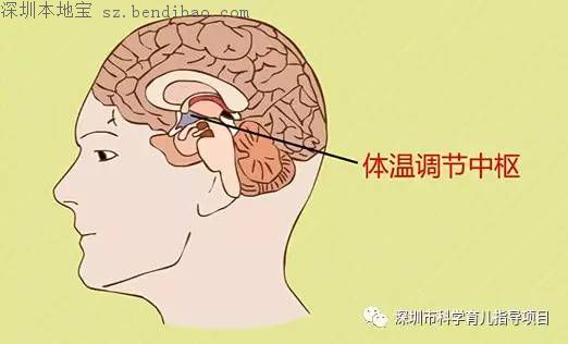 孩子感冒了，怎样穿衣最科学？