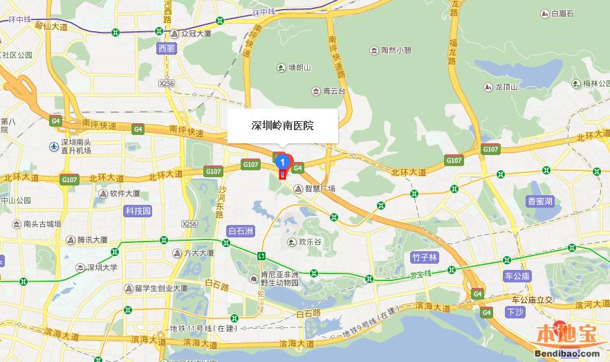 深圳岭南医院地址及交通指南