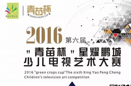 2016深圳青苗杯少儿电视艺术大赛详情