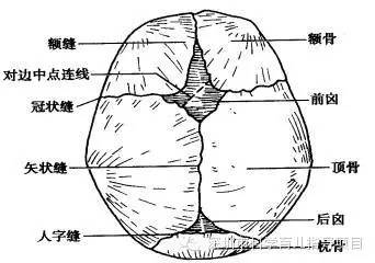 【护理知识】囟门突起和陷入的原因、囟门闭合的正常时间范围