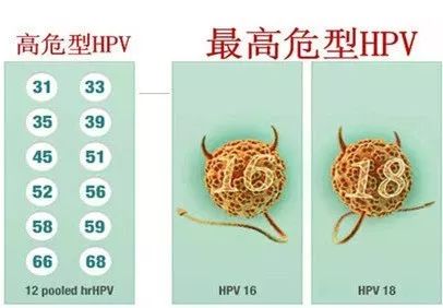 福田也可接种HPV疫苗啦(附接种点完整名单)