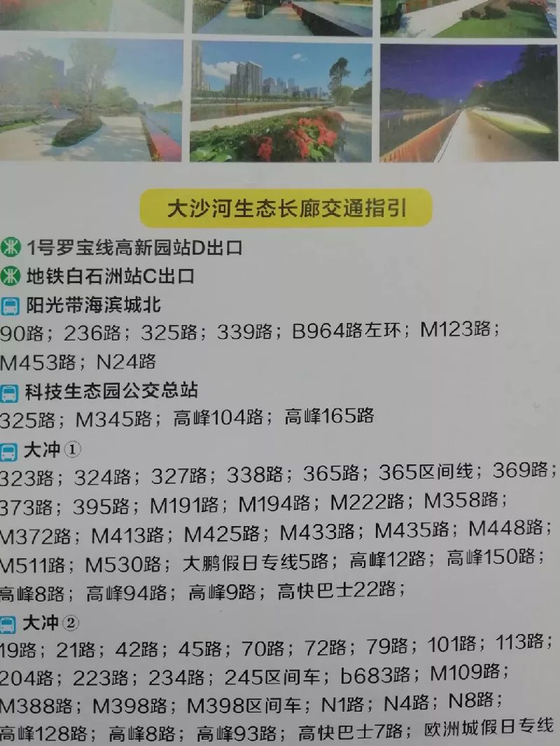 深圳适合踏青的地方 6条精品绿道推荐