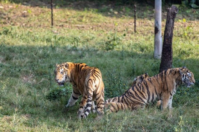 汉阳动物园门票多少钱？