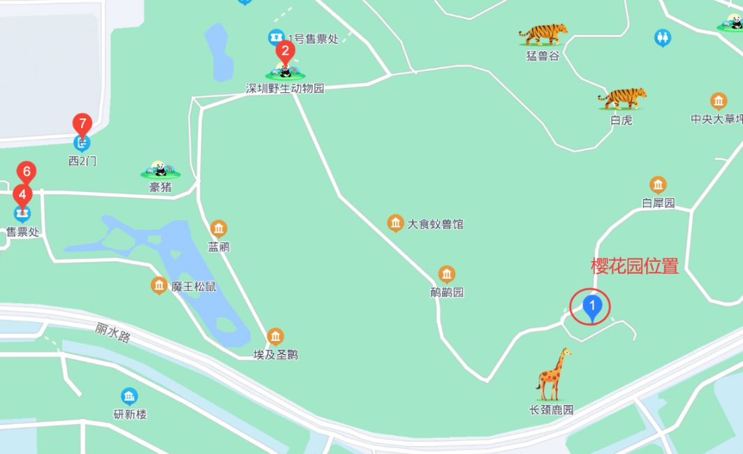深圳动物园樱花园位置在哪里(怎么去)