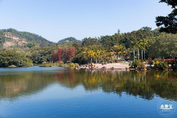 深圳仙湖植物园1月18日起恢复开放