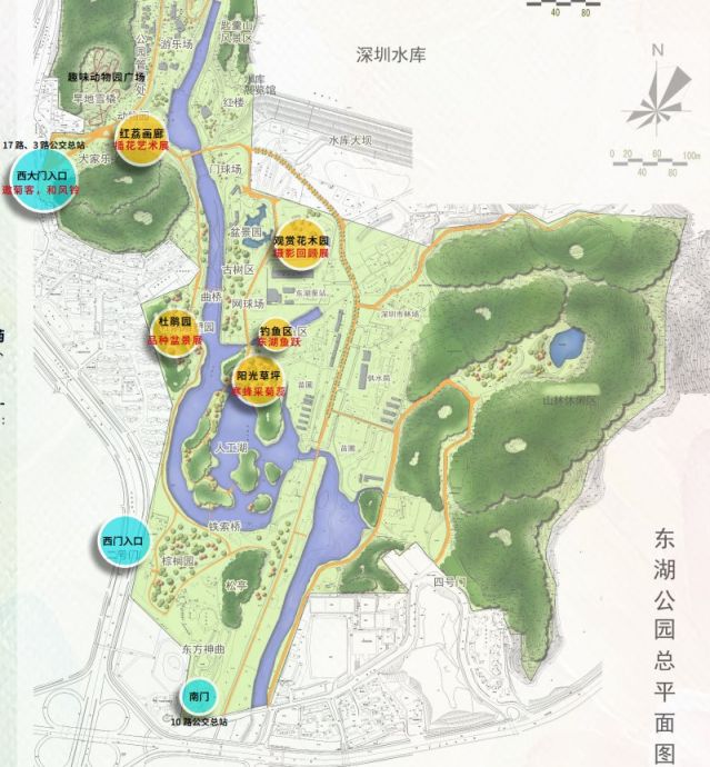 2019深圳东湖公园菊花展游览路线推荐