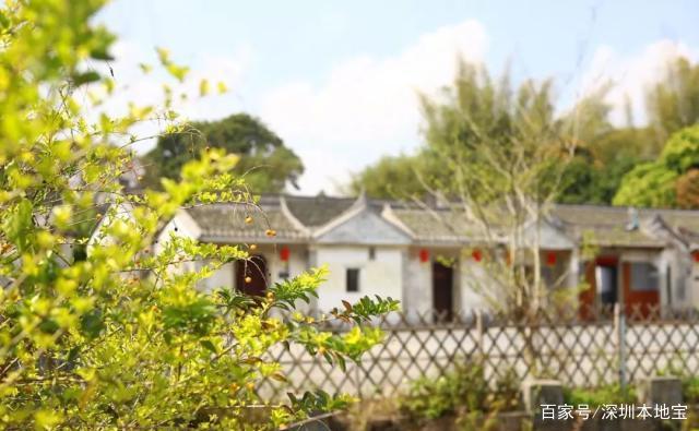 首批广东省乡村旅游精品线路名单公示 深圳有2条上榜