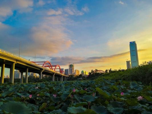 周末游深圳最接地气的30个免费景点