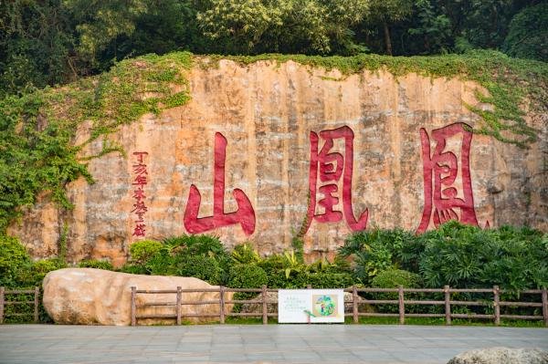 凤凰山游玩攻略,凤凰山游玩攻略一日游