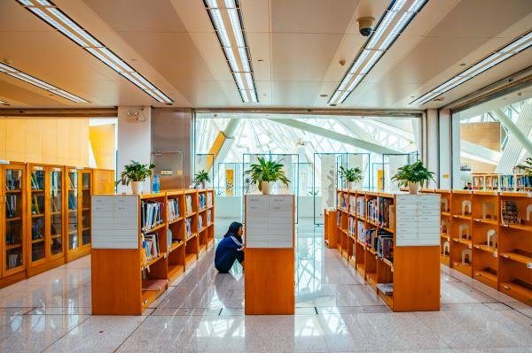 2023深圳图书馆端午节开不开放