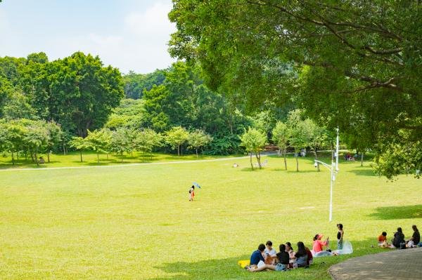 深圳哪些公园有草坪?周末撒欢必备(图)