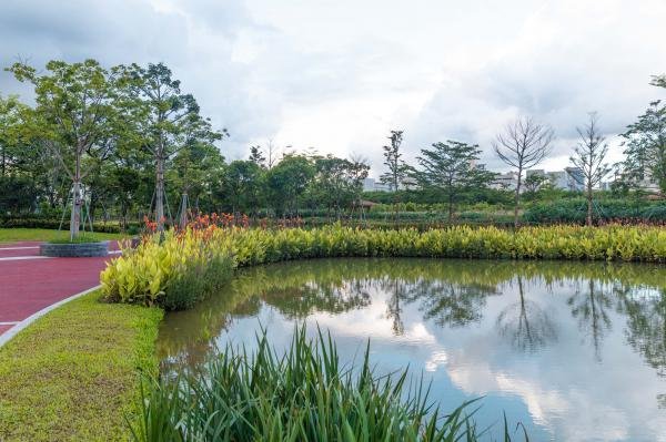 深圳鹅颈水湿地公园怎么去