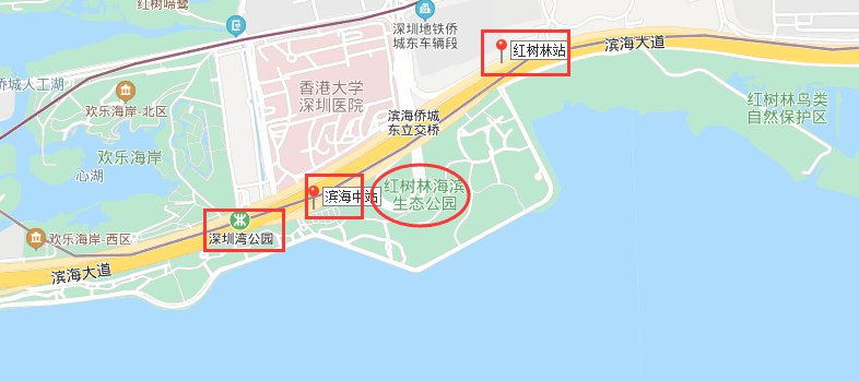 深圳湾红树林海滨生态公园地址及怎么去