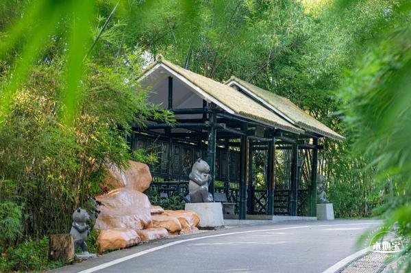 罗湖游玩景点攻略,罗湖游玩景点攻略一日游