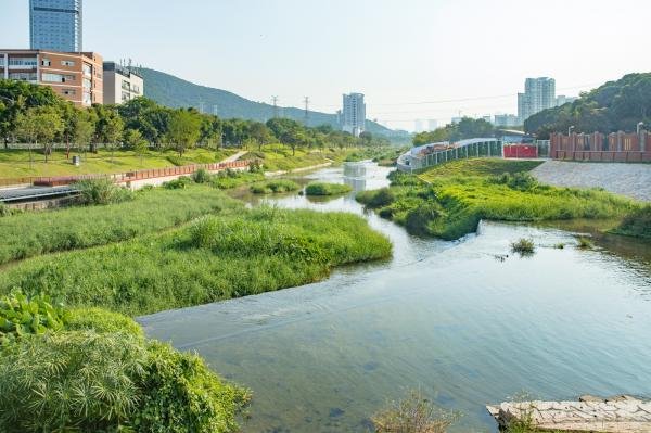 大沙河生态廊道通过百度地图搜索"龙华环城绿道"选择"大营救广场出