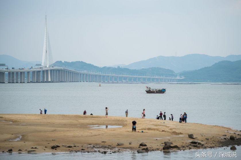 深圳湾公园沙滩离哪个停车场近