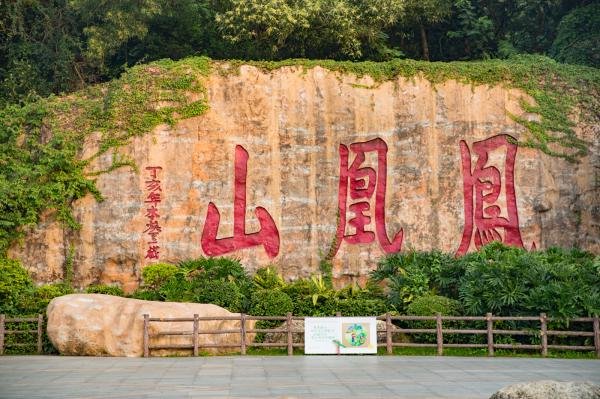 深圳凤凰山森林公园春节管理通告2023