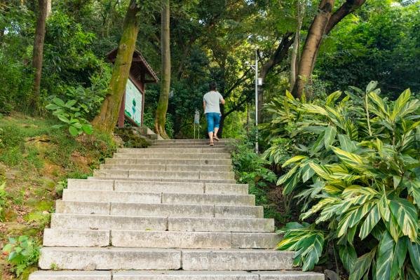 深圳凤凰山春节需要预约吗