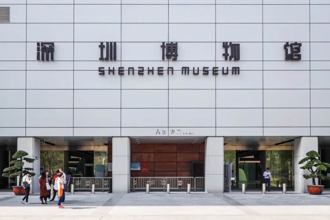 深圳博物馆地铁怎么坐(几号线+哪个出口)