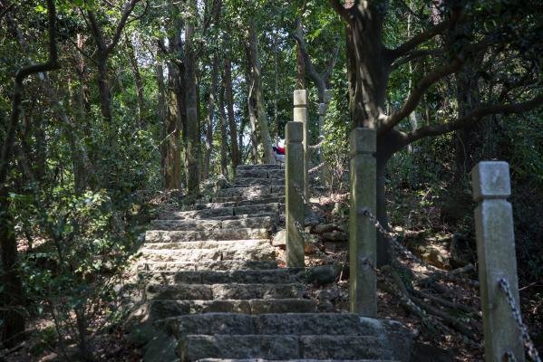 深圳爬山哪里好 七大登山线路推荐