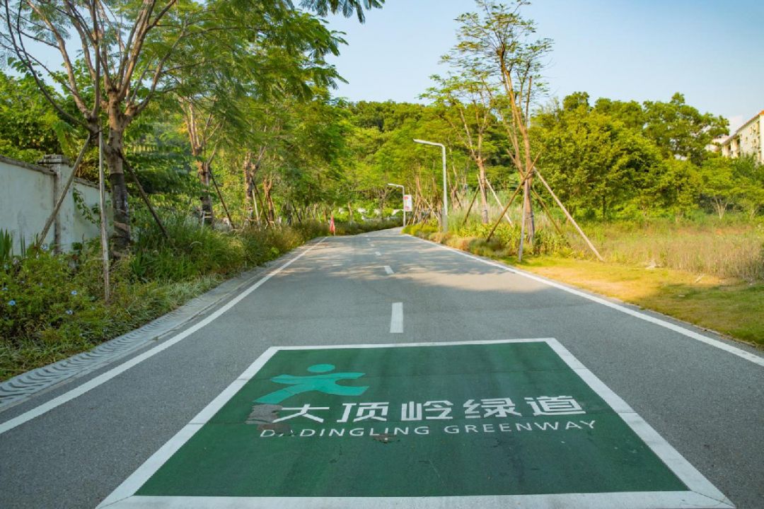 2023深圳大顶岭绿道国庆需要多久的核酸