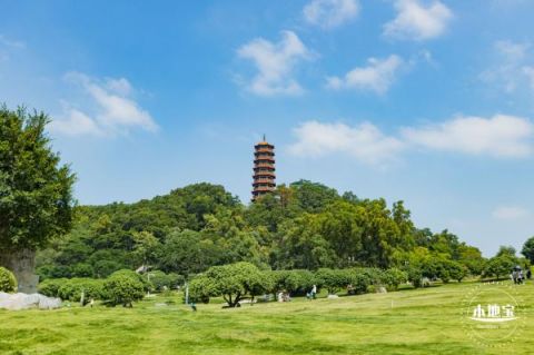 深圳紅花山公園可以搭帳篷嗎