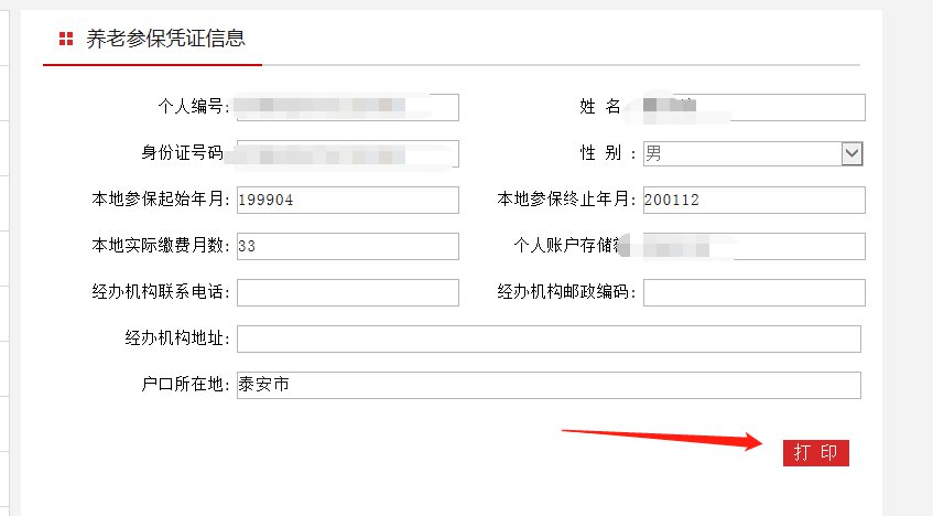 泰安社保流水账单怎么打印