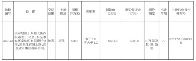 泰安市国有建设用地使用权挂牌出让公告（7号）