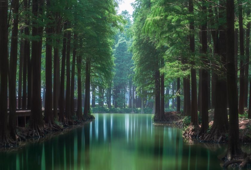 江苏省第一个林长制主题公园在哪里