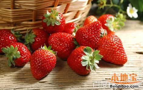 天津冬草莓采摘好去处 盘点天津好评度较高的