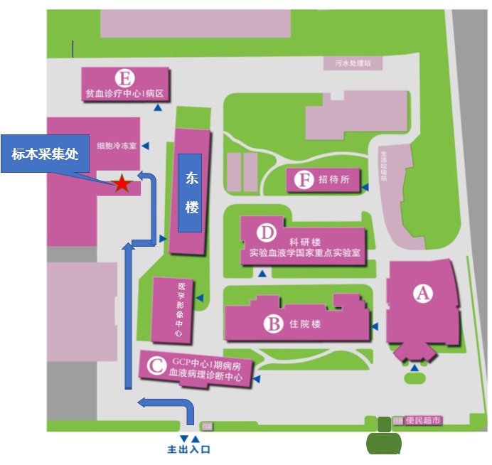 天津中国医学科学院血液病医院核酸检测流程