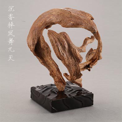 天津沉香艺术博物馆有哪些展品