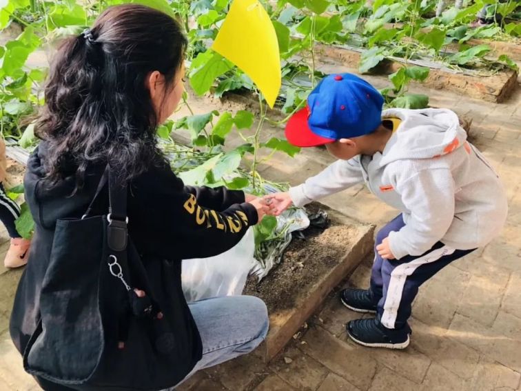 天津光合谷旅游度假区游玩指南（时间 门票 交通）